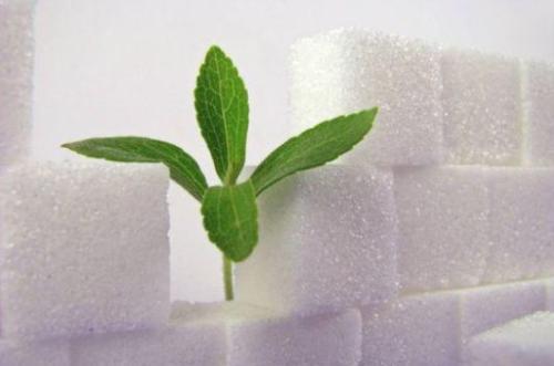Sraith Sweetness - Stevia RA Sraith